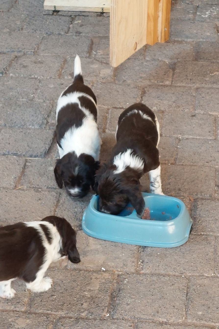 K-Wurf_weitere Bilder_01