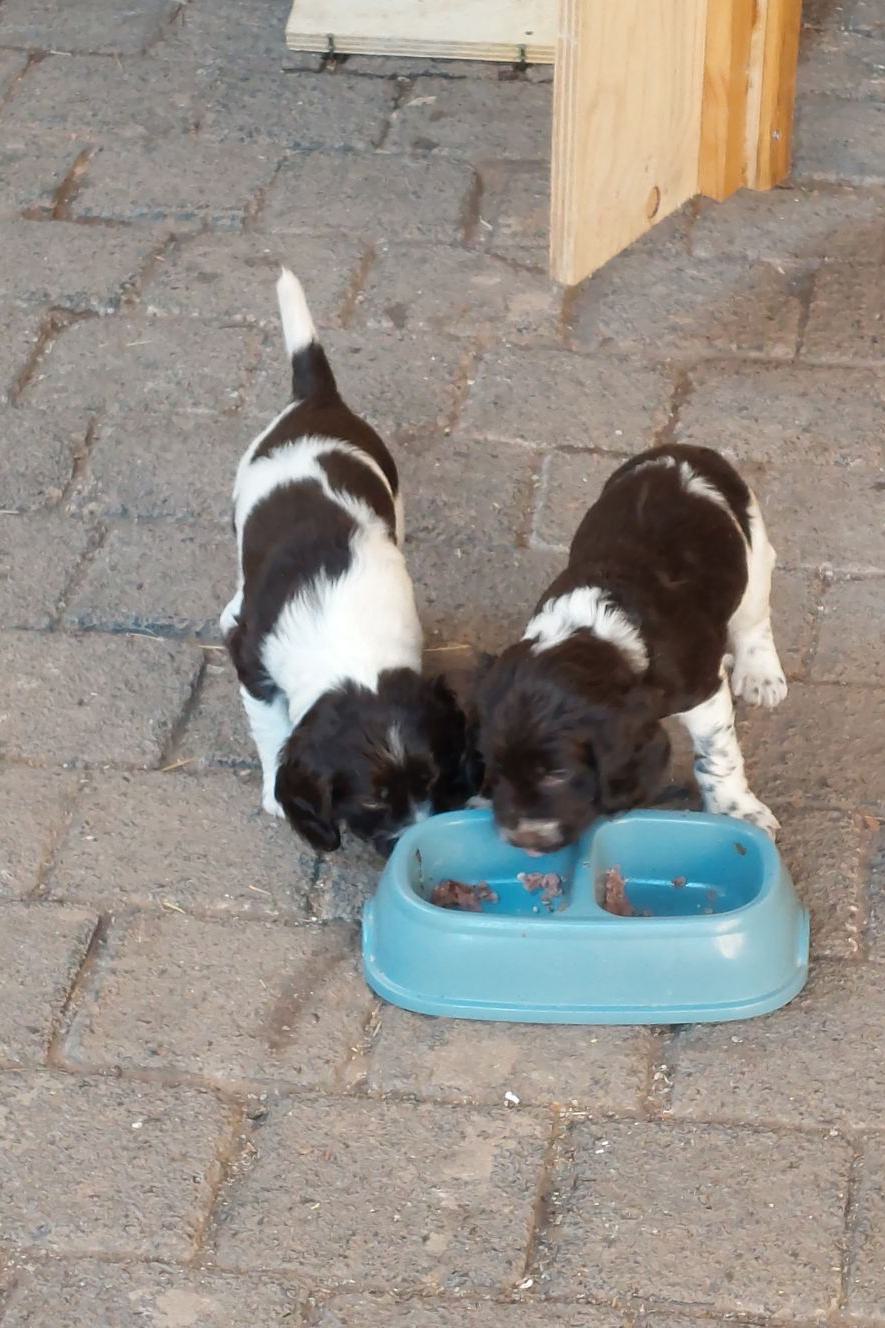 K-Wurf_weitere Bilder_02