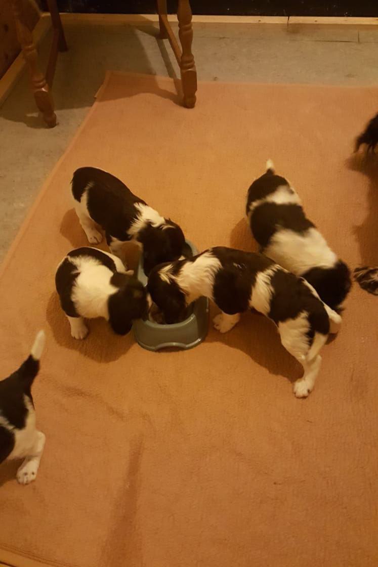 K-Wurf_weitere Bilder_03