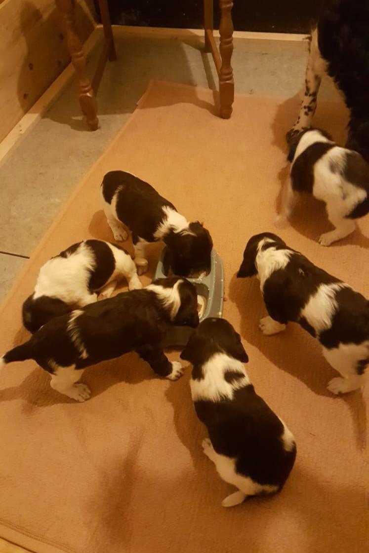 K-Wurf_weitere Bilder_04