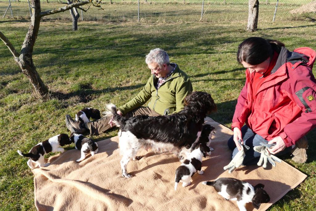 K-Wurf_weitere Bilder_08